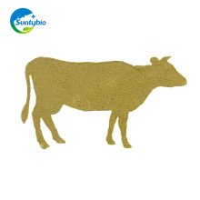 Live Cattle Yeast Wholesale For Animal Feeding Grade